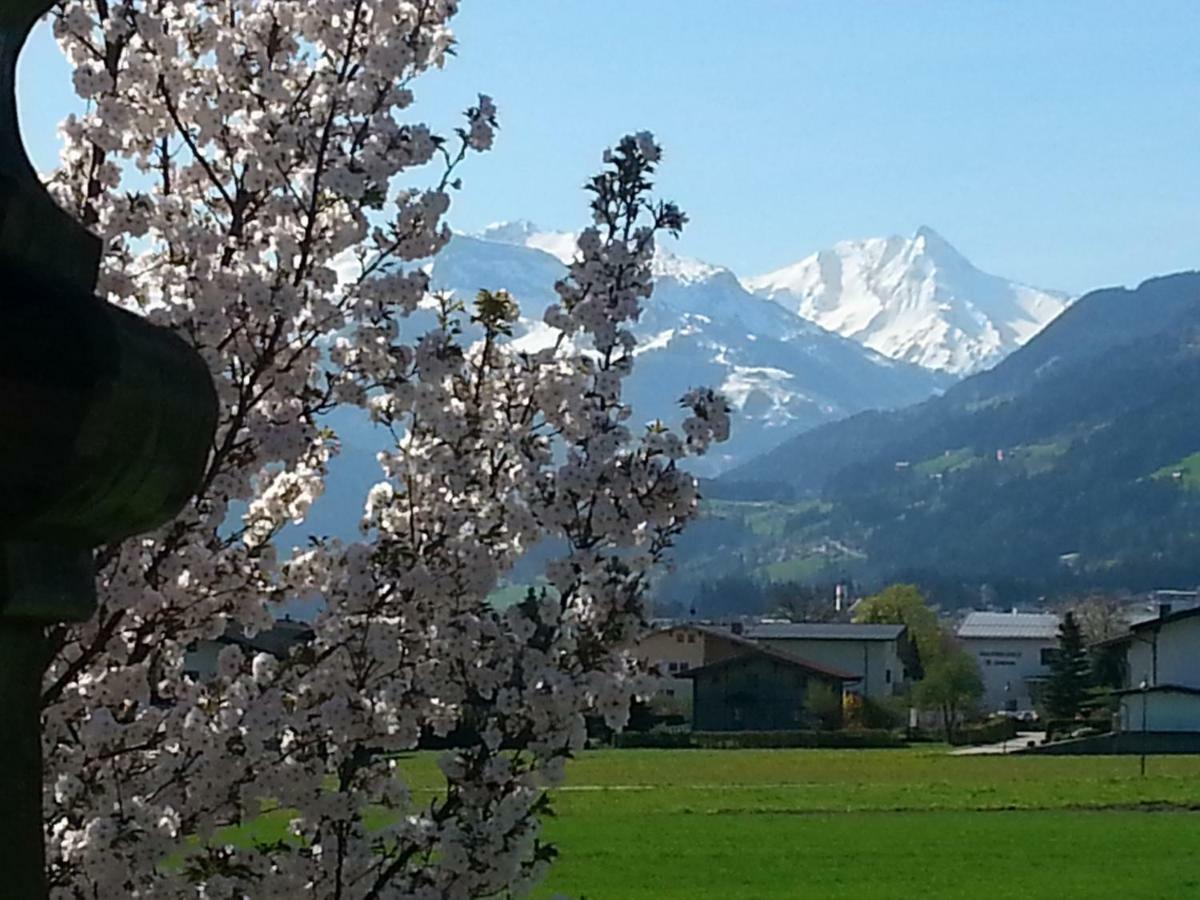 Apart Tyrol Uderns Bagian luar foto